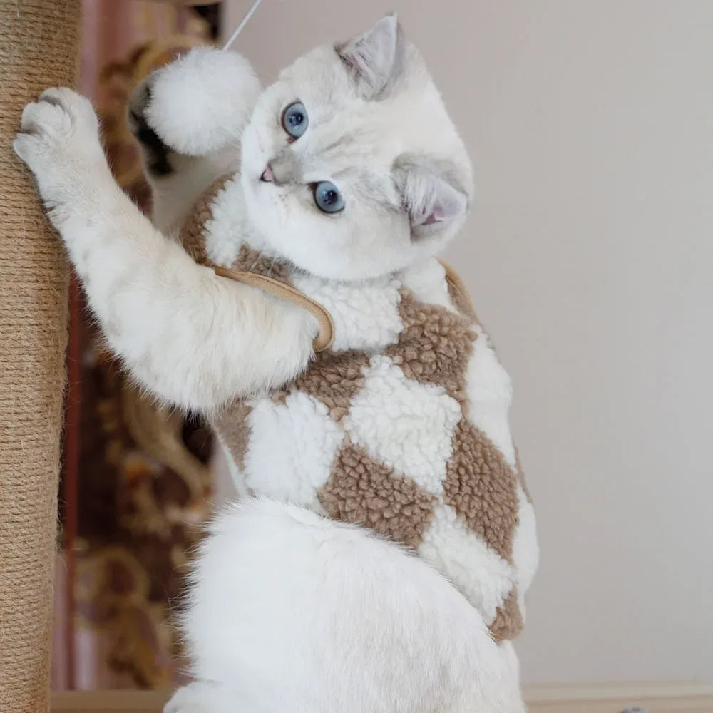 Fashionable Plaid Cat Coat | Fleece Winter Outfit
