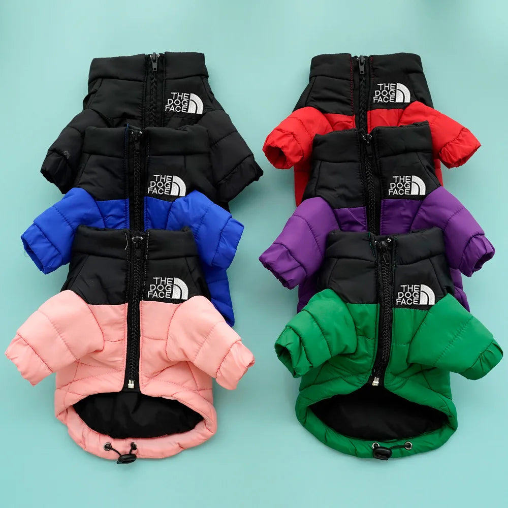 Winter Warm Cat Jacket | Windproof Coat