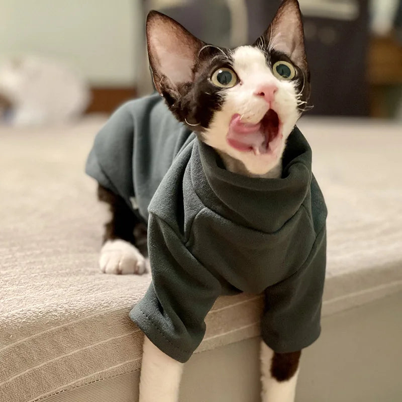 Soft Cotton Clothes for Sphynx Cats | Fall & Winter Outfits