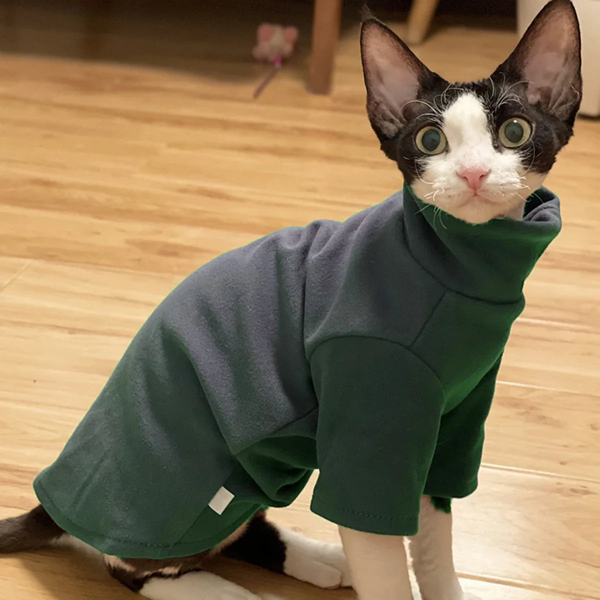 Soft Cotton Clothes for Sphynx Cats | Fall & Winter Outfits