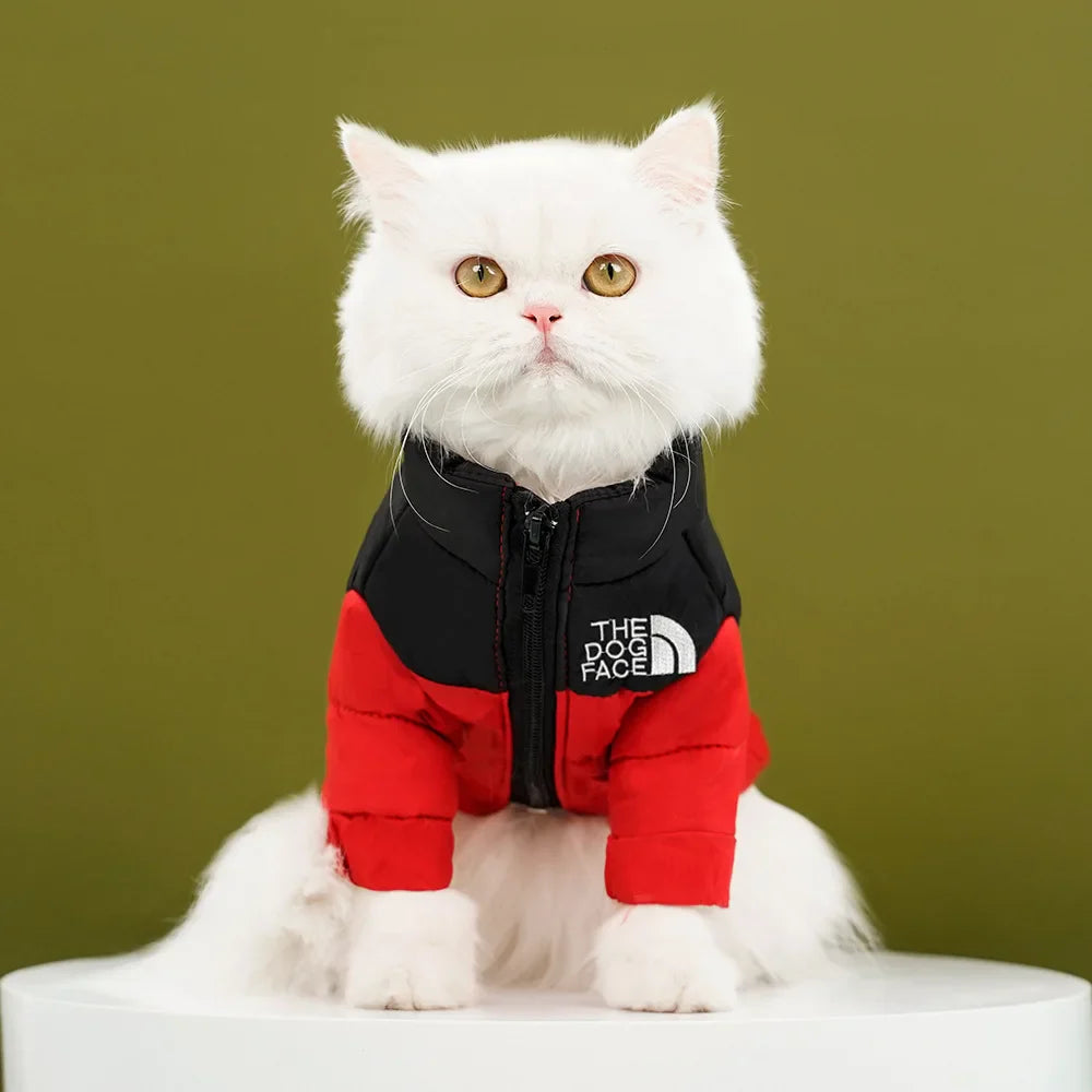 Winter Warm Cat Jacket | Windproof Coat