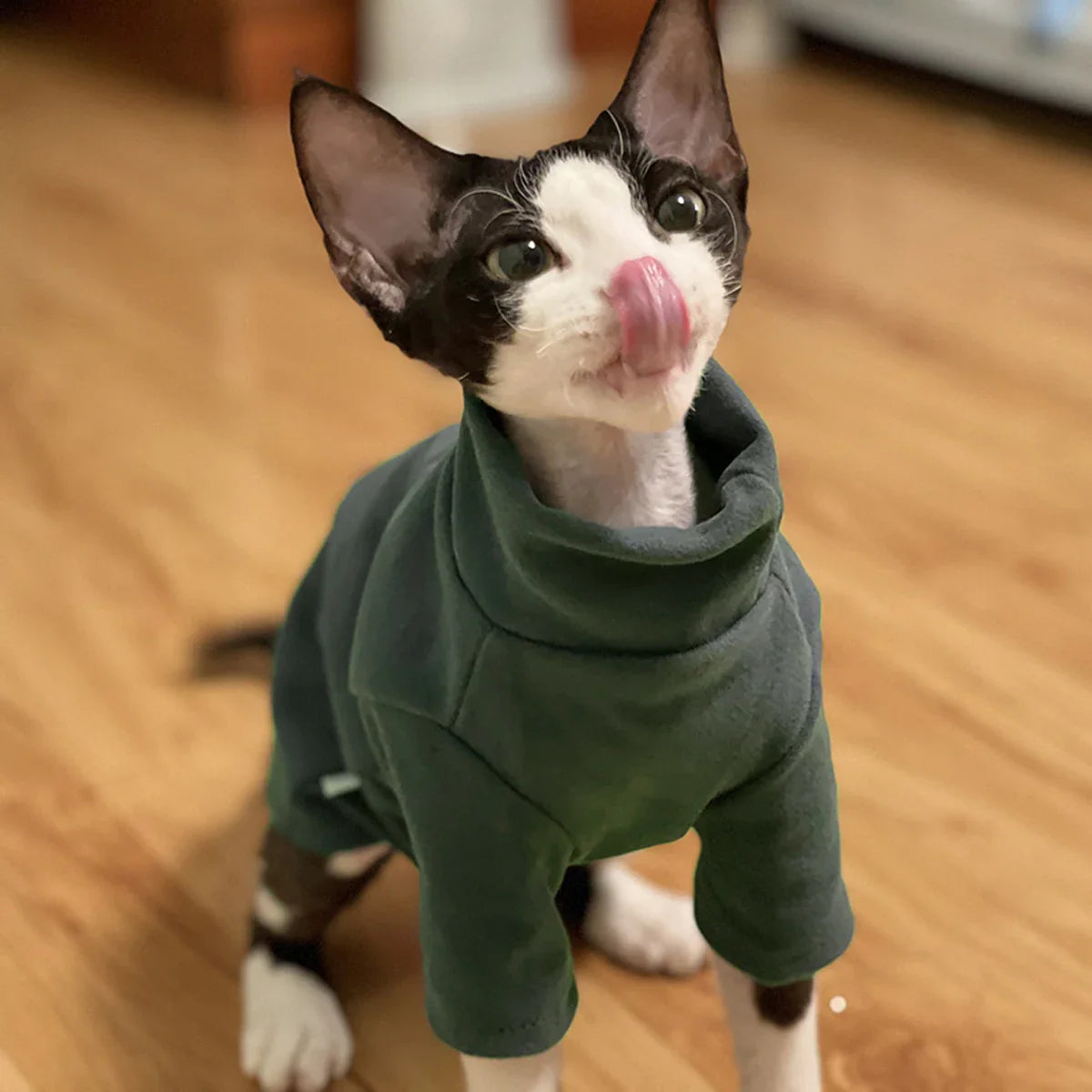 Soft Cotton Clothes for Sphynx Cats | Fall & Winter Outfits