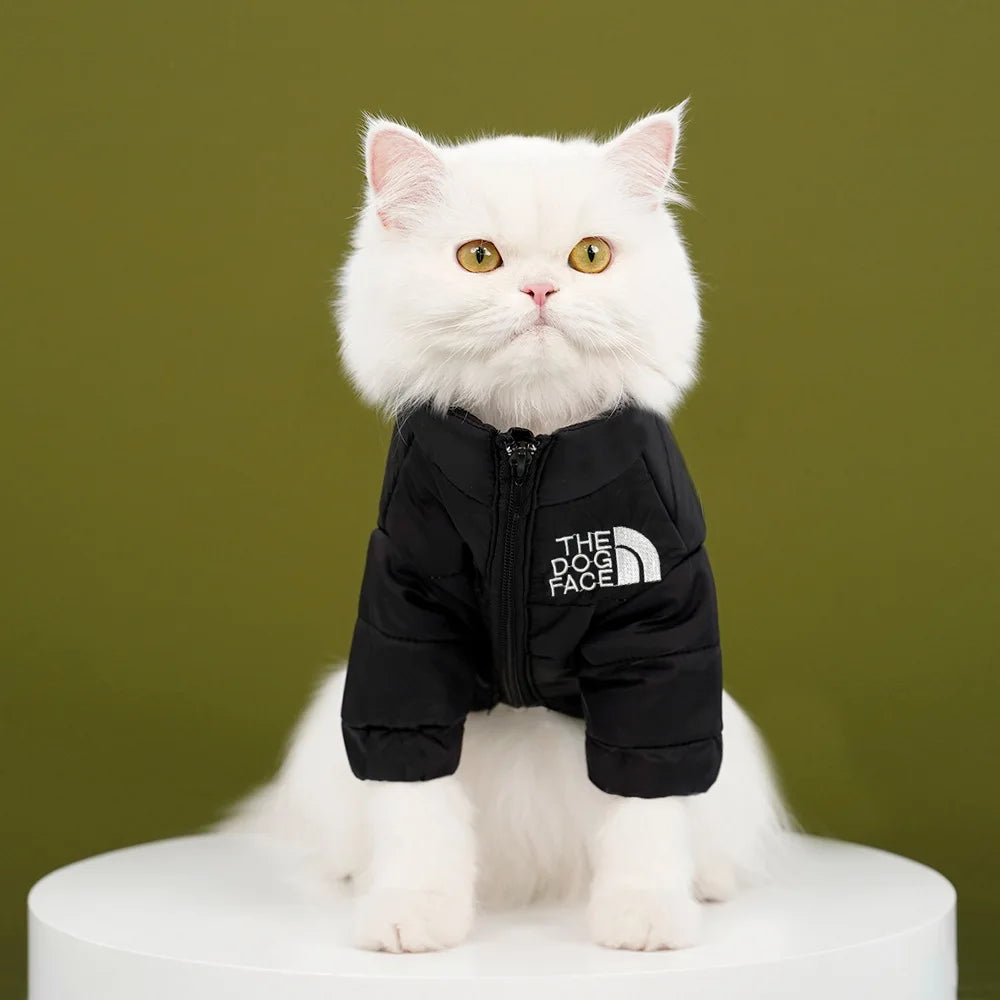 Winter Warm Cat Jacket | Windproof Coat